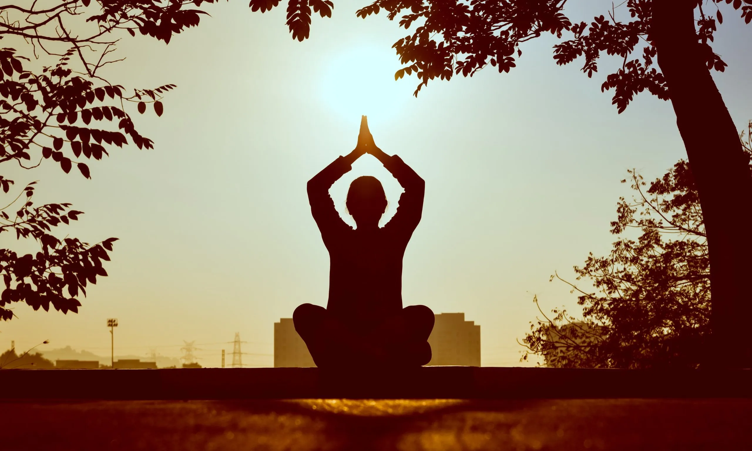 Ayurdhara Wellness Center